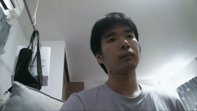 demo.gif